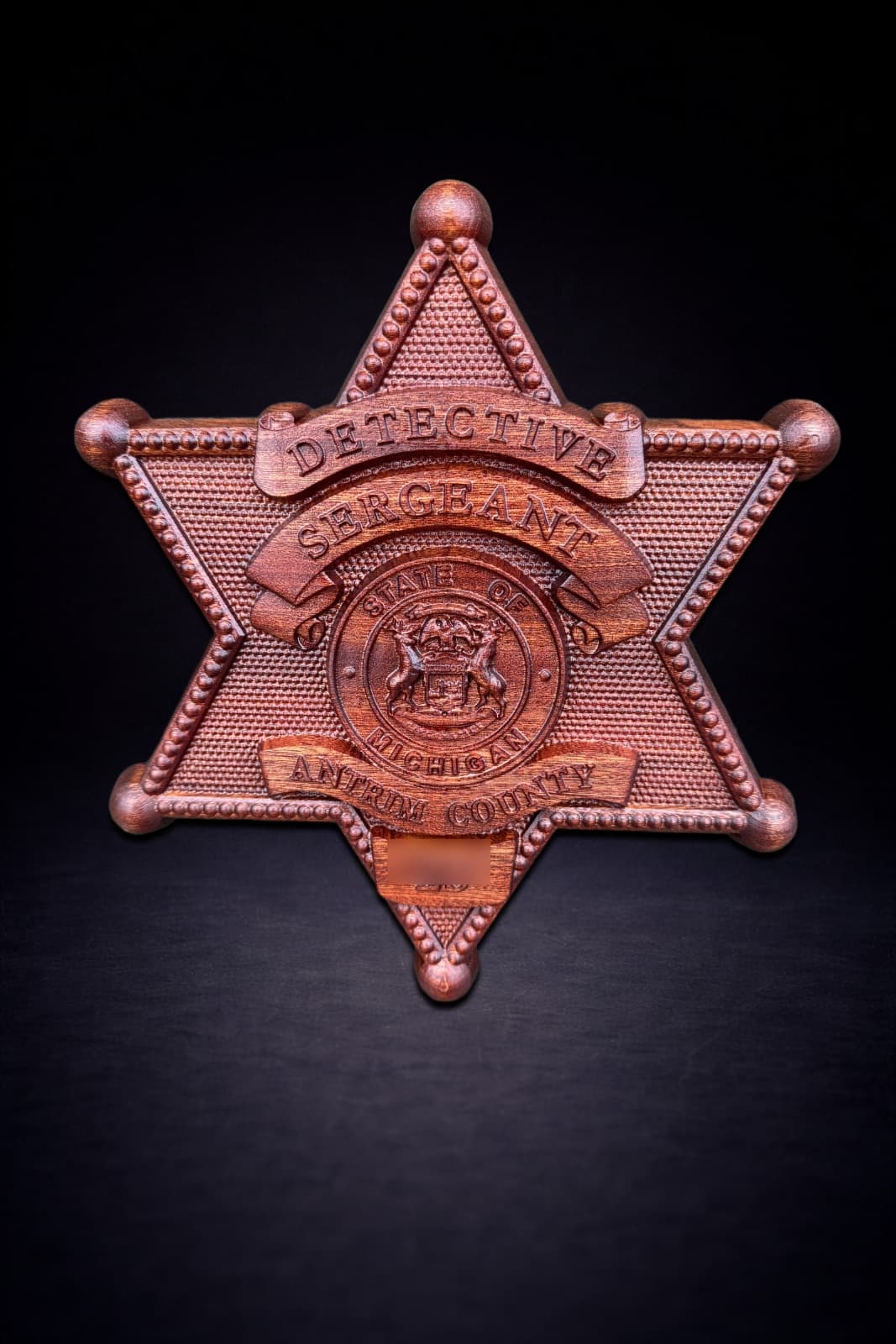 Antrim County Sheriff's Department