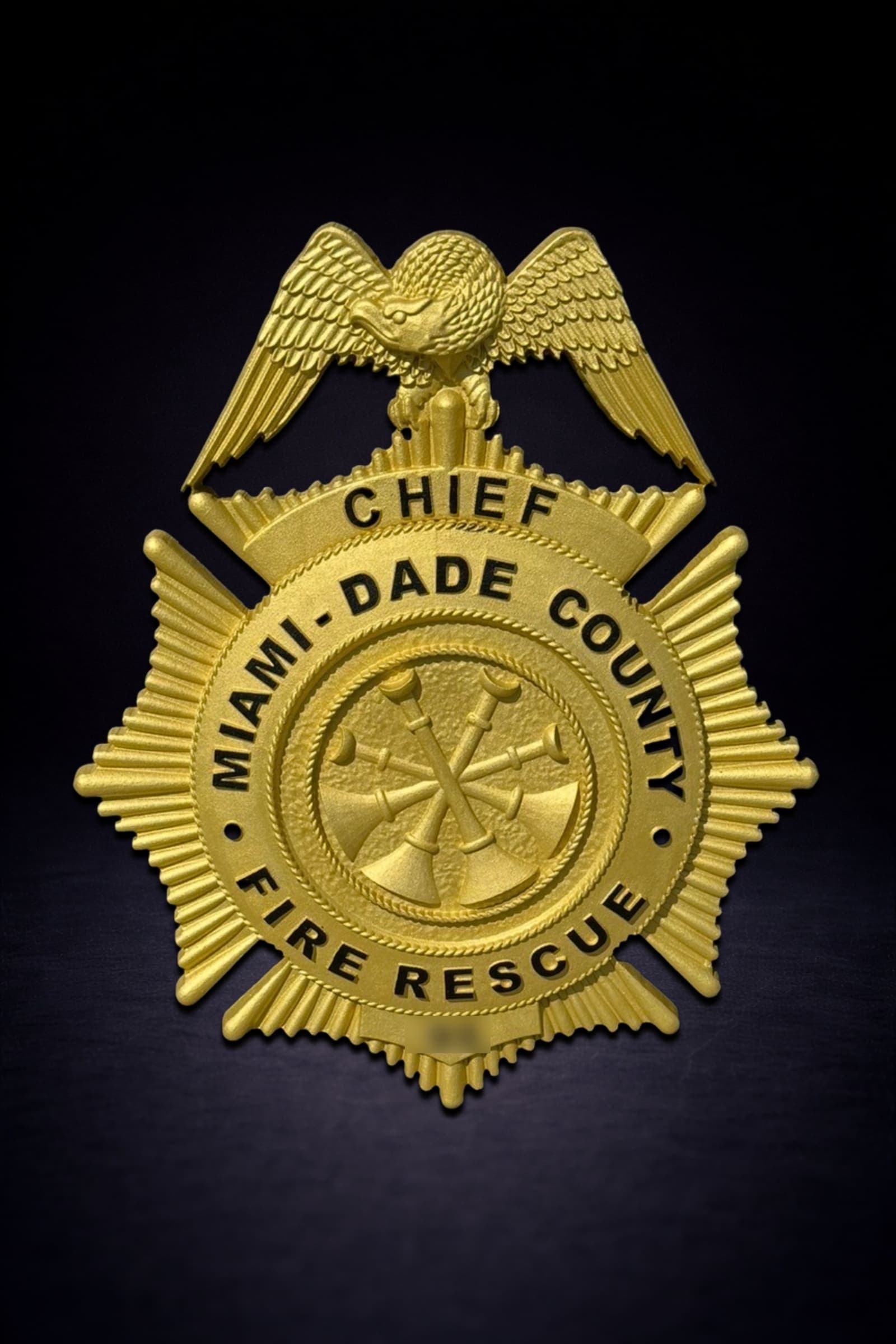 Miami Date Fire Rescue