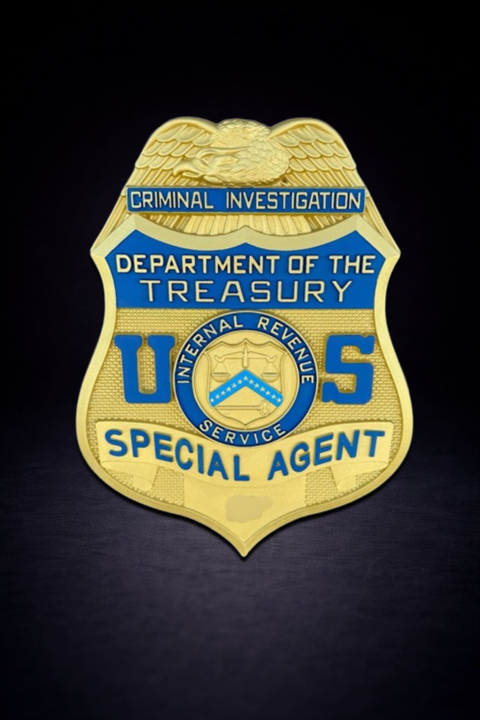 Internal Revenue Service Special Agent