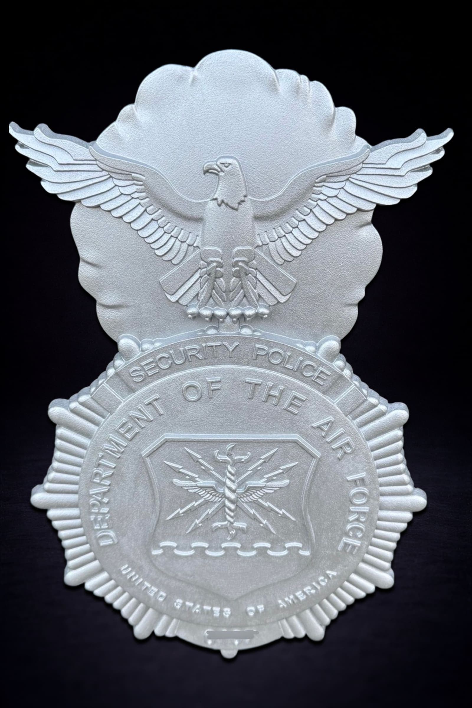 Air Force Security Forces