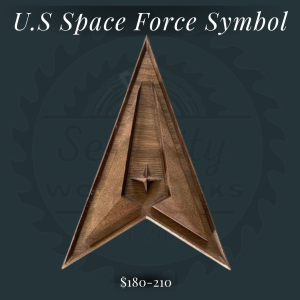 SS Space Force Symbol